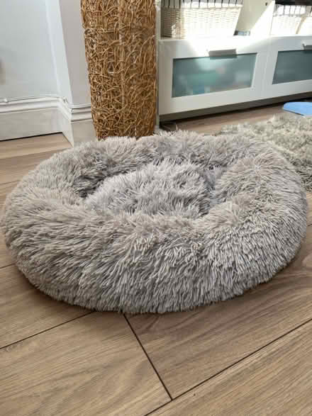 Photo of free Small fluffy dog bed (Bexley DA5) #2