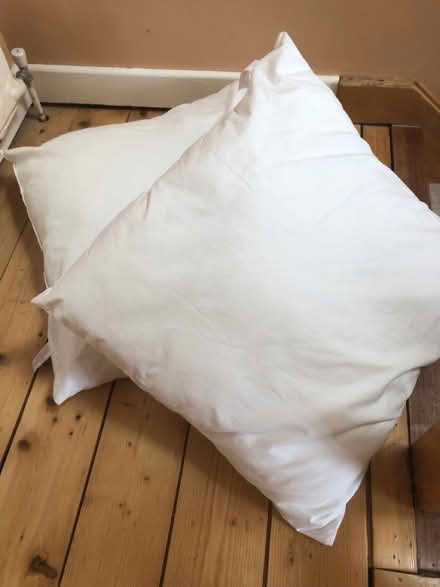 Photo of free Cushion inserts (Littlemore OX4) #1