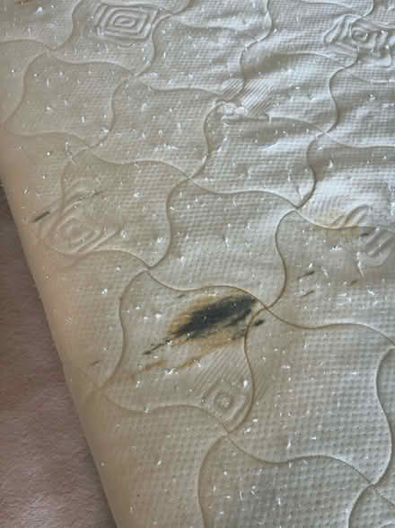 Photo of free Memory foam mattress - king size (Bb67rt) #4