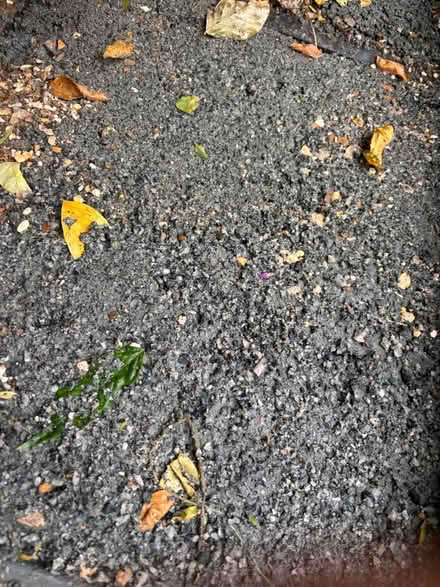 Photo of free 2 bags of grano dust (SW15 Putney) #2