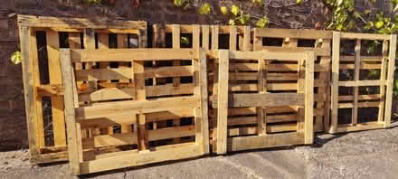 Photo of free 4 pallets (Upper Stondon SG16) #3