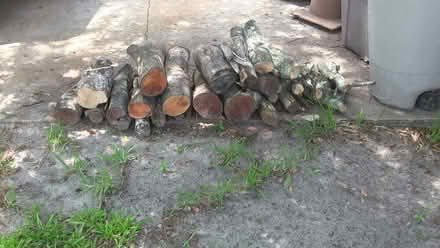 Photo of free short logs for firewood (Eastbrook-Goldenrod) #1