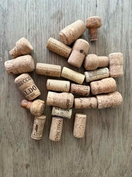 Photo of free Corks x 23 (Cowplain PO8) #1