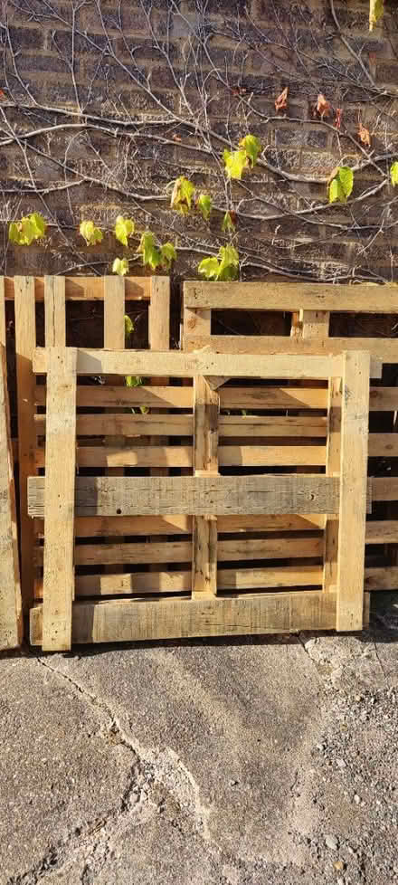 Photo of free 4 pallets (Upper Stondon SG16) #2