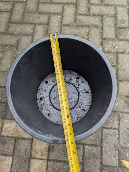 Photo of free Flower pots, large (Rayleigh) #1