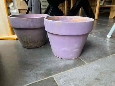 Photo of free Plant pots (SG6) #1
