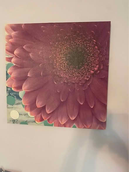 Photo of free Wall Art (Somerset) #1