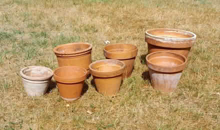 Photo of free 7 Assorted Terracotta Pots (Belmont SL6) #1