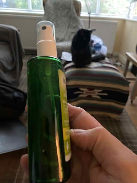 Photo of free Spray/mister bottle (Upper Norwood SE19) #1