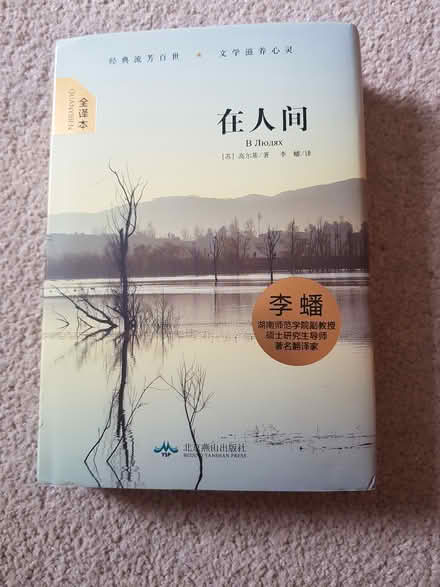 Photo of free Chinese Book (North Abingdon, OX14) #1