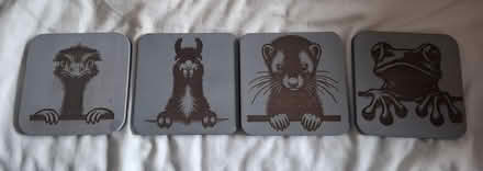 Photo of free Animal coasters (Seaside BN22) #1
