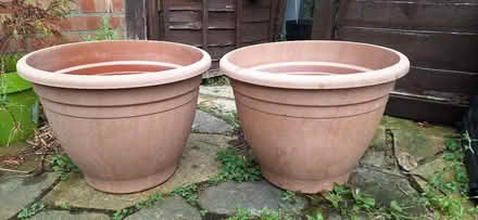 Photo of free Plastic Planters (Lower Sydenham) #3