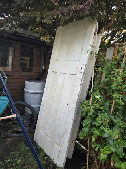 Photo of free Wooden doors (Gillingham ME7) #1