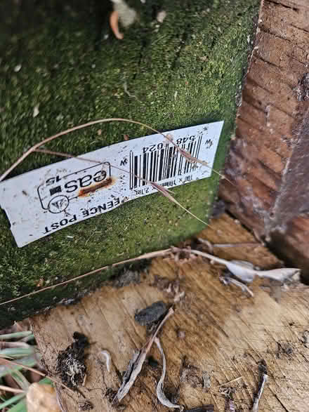 Photo of free 8 pressure treated wooden fence posts (West Norwood SE27) #1