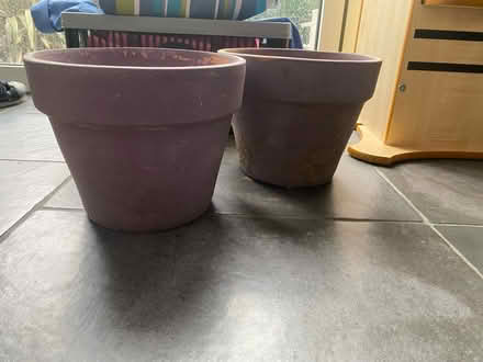 Photo of free Plant pots (SG6) #3