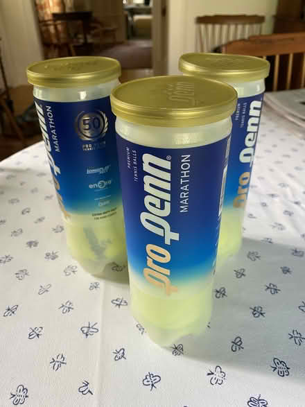 Photo of free Tennis Balls (Pleasantville) #1