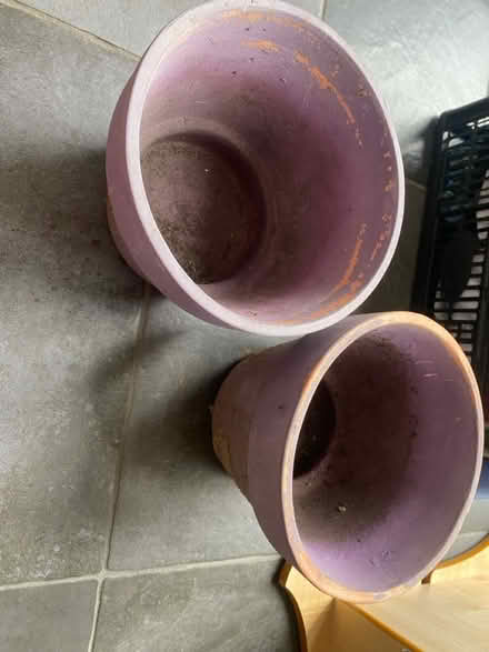 Photo of free Plant pots (SG6) #2