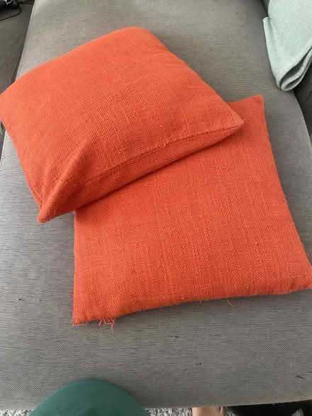 Photo of free Cushions (Wood Green N15) #1