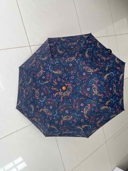 Photo of free Ladies paisley umbrella. (Swindon SN3) #1