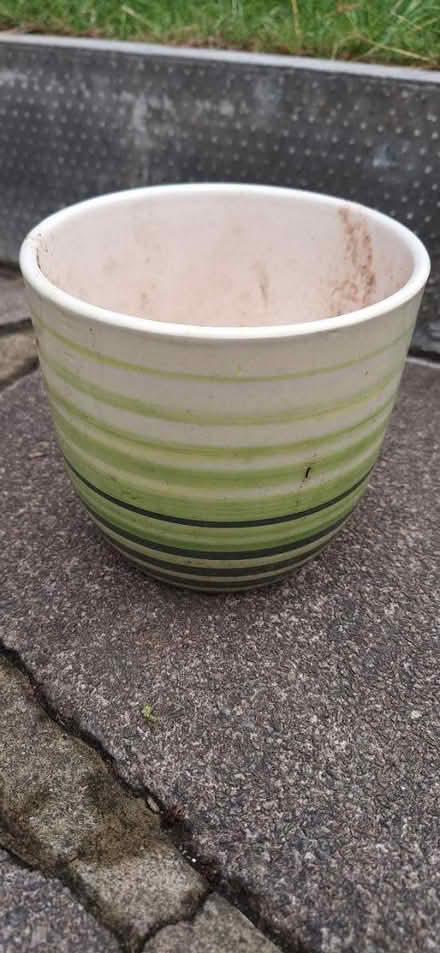 Photo of free Plant pot (Lower Sydenham) #1