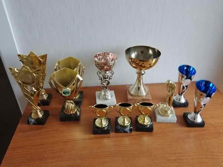 Photo of free Trophies (hookhills paignton TQ4) #1