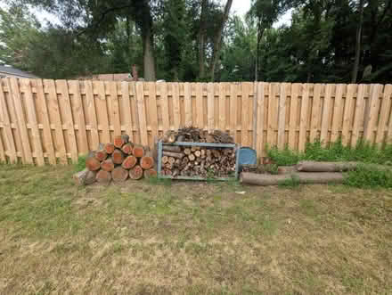 Photo of free Firewood (Berwyn Heights) #1