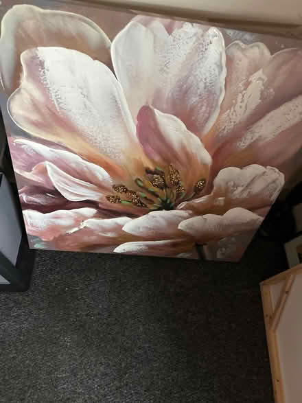Photo of free Large canvas (Arbourthorne S2) #1