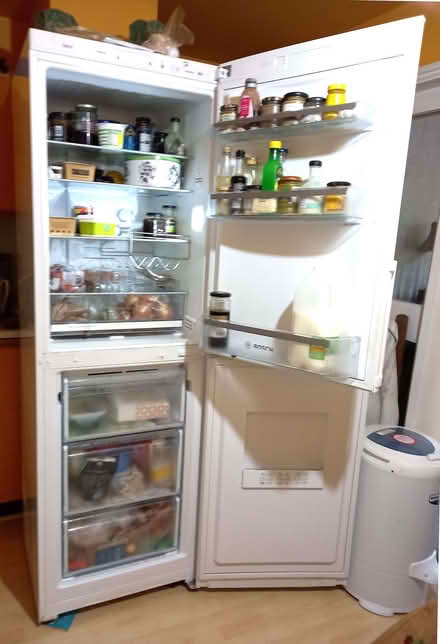 Photo of free Bosch Fridge-Freezer (Shrewsbury SY1) #2
