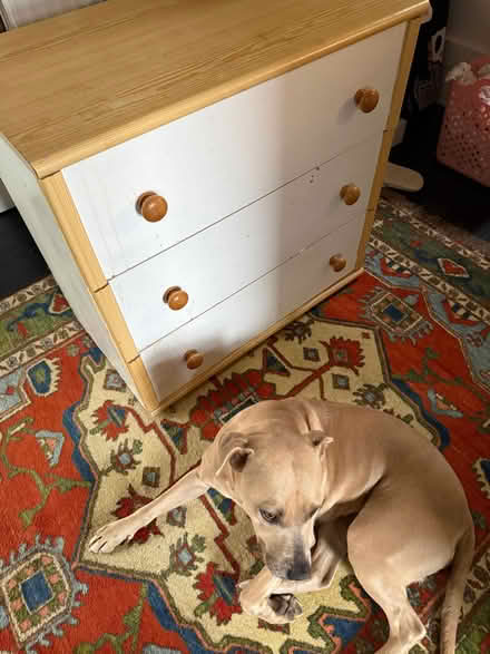 Photo of free Chest of drawers (Old Basing RG24) #2