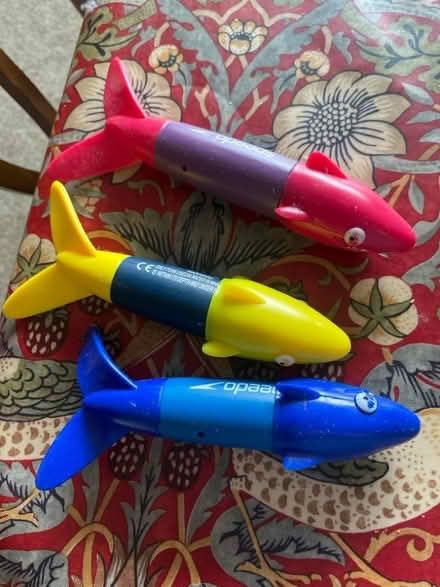 Photo of free Swim floats (Northway OX3) #1