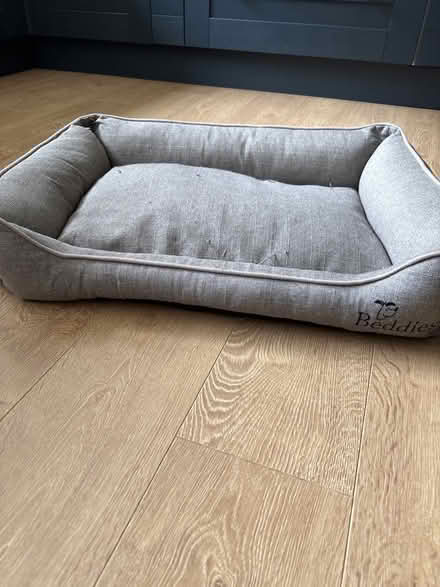 Photo of free Dog bed (Broomgrove TN34) #1