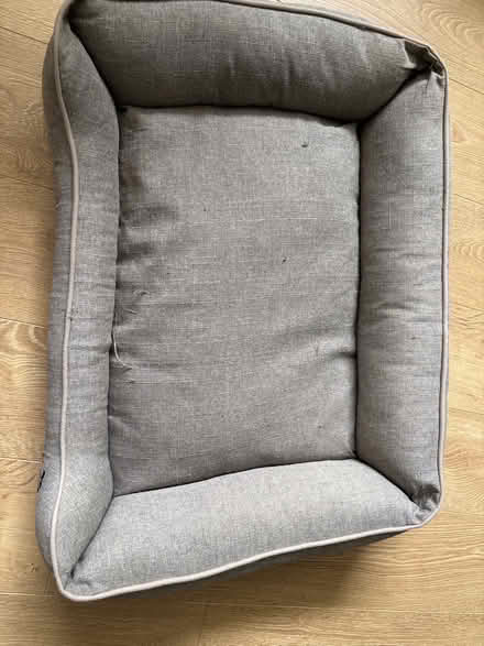 Photo of free Dog bed (Broomgrove TN34) #2
