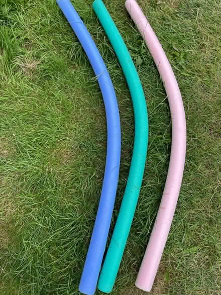 Photo of free 3 pool noodles (Odd Down) #1
