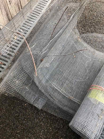 Photo of free Wire cloches (Lymington SO41) #3