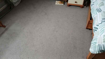 Photo of free carpet (Hayling Island PO11) #1