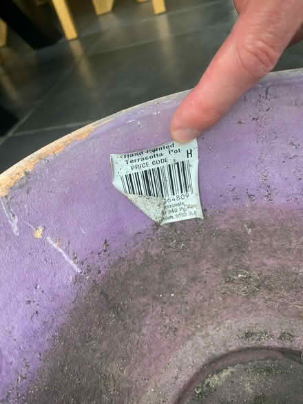 Photo of free Plant pots (SG6) #4