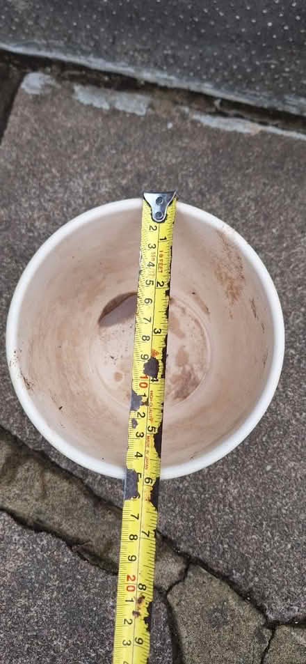 Photo of free Plant pot (Lower Sydenham) #2