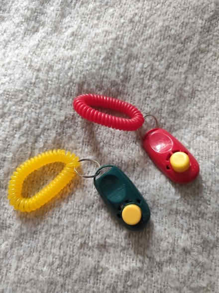 Photo of free Dog training clickers (Canonmills EH3) #1