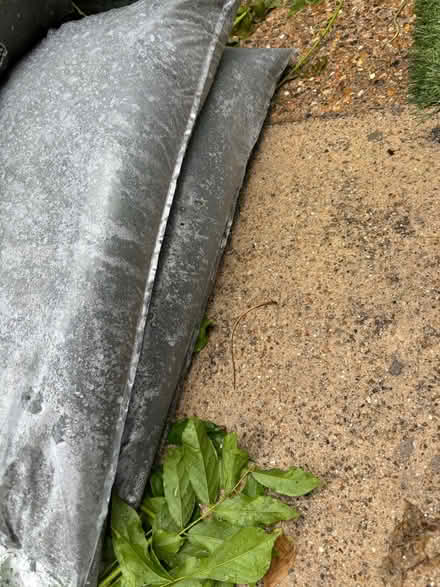 Photo of free 2 bags of grano dust (SW15 Putney) #1