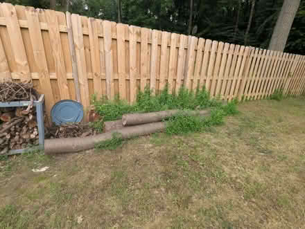 Photo of free Firewood (Berwyn Heights) #2