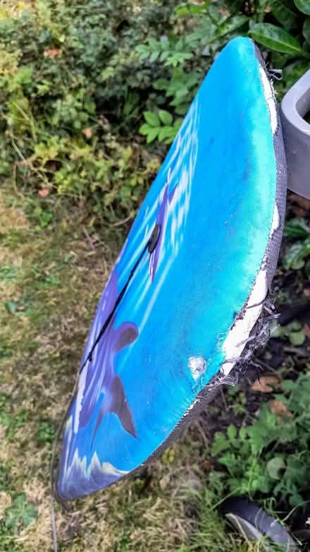 Photo of free Children's body board (Allington ME16) #2
