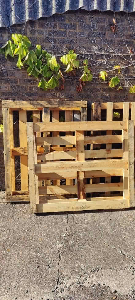 Photo of free 4 pallets (Upper Stondon SG16) #1