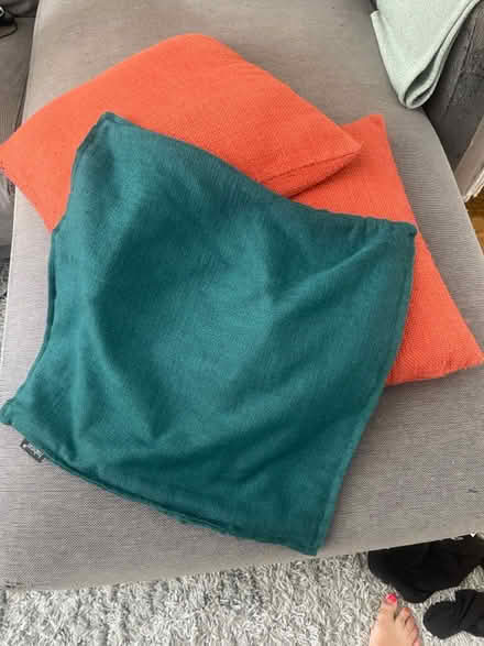 Photo of free Cushions (Wood Green N15) #2