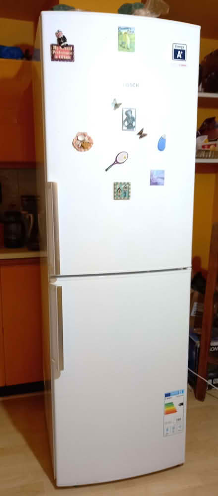 Photo of free Bosch Fridge-Freezer (Shrewsbury SY1) #1