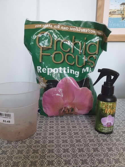 Photo of free Orchid growing stuff (Cleckheaton BD19) #1
