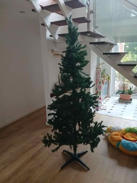 Photo of free 7 ft xmas tree (thorpe bay SS1) #1