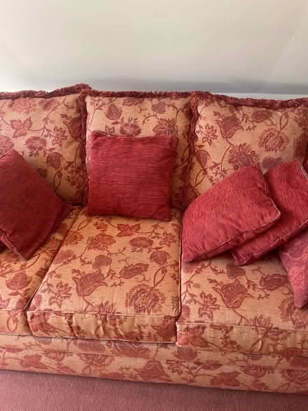 Photo of free 3 seater sofa bed (Boreham Street BN27) #3