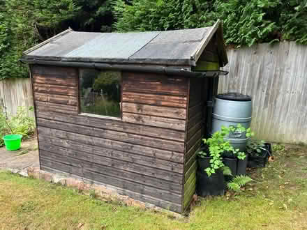 Photo of free Garden shed 7x5ft (Haywards Heath RH16) #3