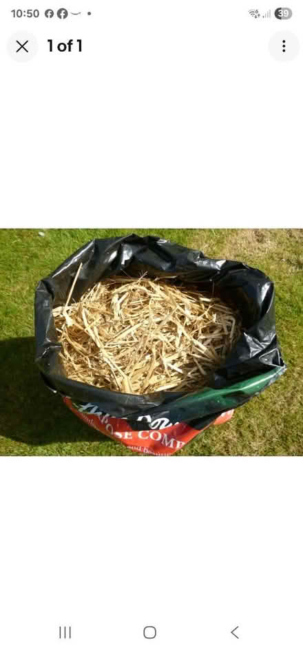 Photo of Straw (HU8 james reckitt) #1