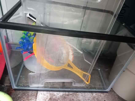 Photo of free Starter fish tank (Greaves LA1) #2